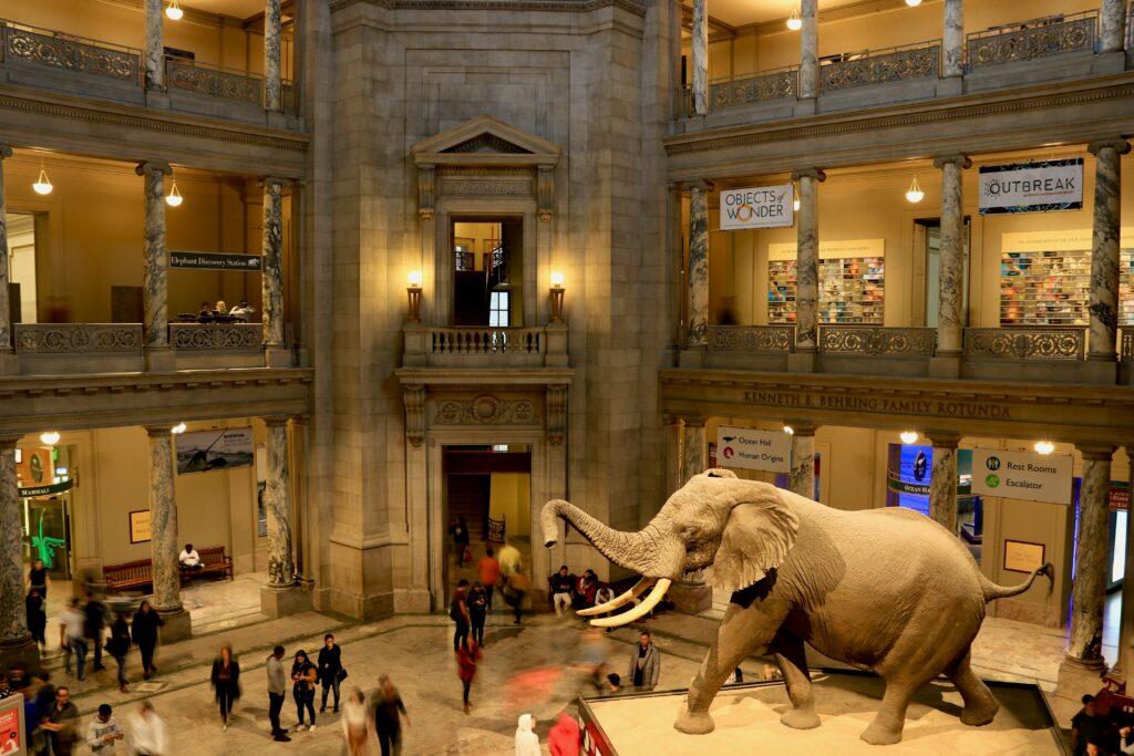 he National Museum of Natural History